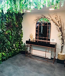 Çekmeceli Kartepe Dresuar Takımı